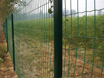 波浪形護(hù)欄網(wǎng) 波浪形護(hù)欄網(wǎng)