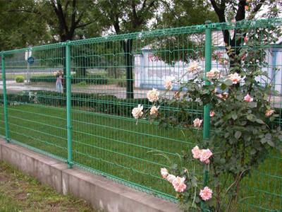 雙圈護(hù)欄網(wǎng)